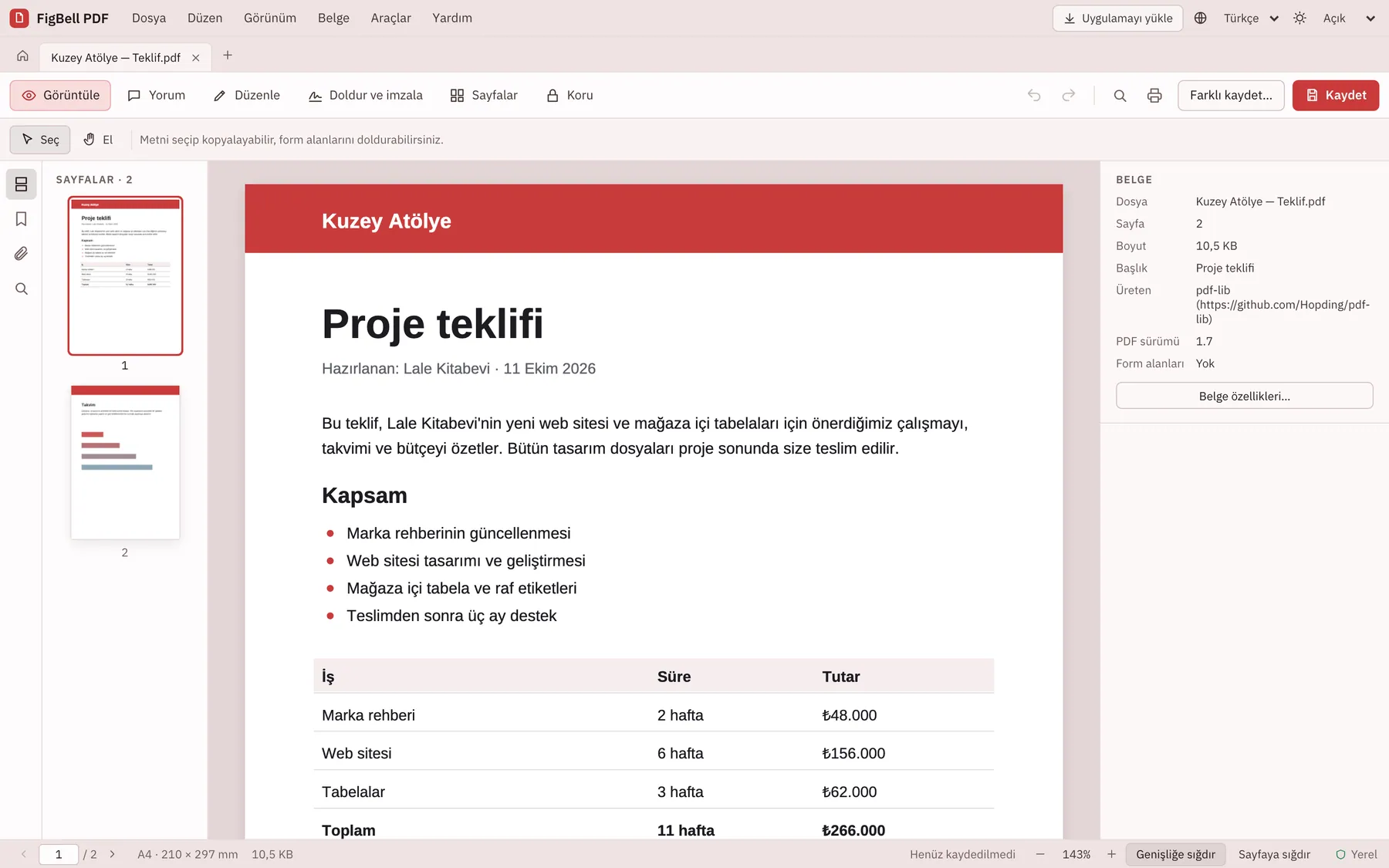Paginel ekran görüntüsü: örnek içerikle çalışma alanı